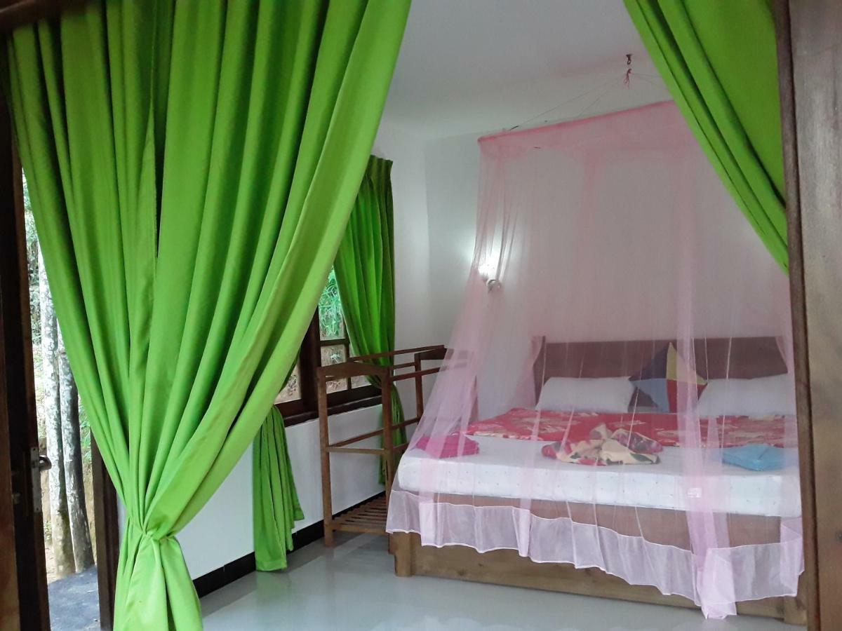 Nine Arch Araliya Homestay Ella Zewnętrze zdjęcie